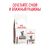 Паучи Royal Canin Gastrointestinal Moderate Calorie для кошек, склонных к набору веса при расстройствах пищеварения