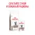 Паучи Royal Canin Gastrointestinal Moderate Calorie для кошек, склонных к набору веса при расстройствах пищеварения Паучи Royal Canin Gastrointestinal Moderate Calorie для кошек, склонных к набору веса при расстройствах пищеварения
