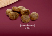 Сухой Корм Мираторг Pro Meat для взрослых собак средних пород с ягнёнком и картофелем