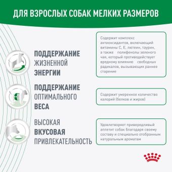 Корм Royal Canin Mini Adult 8+ для стареющих собак малых пород старше 8 лет
