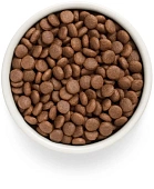 Сухой Корм Grandorf Fresh Dog Salmon Med&Maxi свежее филе лосося с бататом для взрослых собак средних и крупных пород Сухой Корм Grandorf Fresh Dog Salmon Med&Maxi свежее филе лосося с бататом для взрослых собак средних и крупных пород