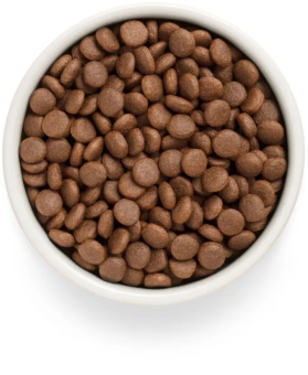 Корм Grandorf Fresh Dog Salmon Med&Maxi свежее филе лосося с бататом для взрослых собак средних и крупных пород