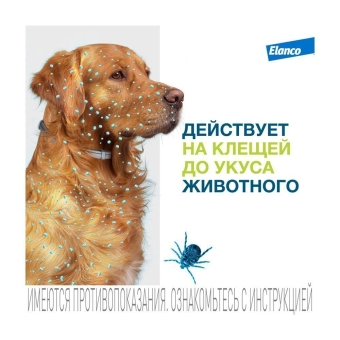 Водостойкий ошейник Форесто для собак до 8 кг от клещей, блох и вшей