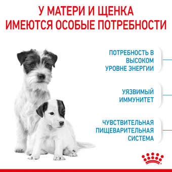 Royal Canin Mini Starter корм для щенков мелких размеров до 2-х месяцев, беременных и кормящих сук