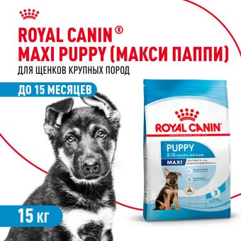Корм для собак Royal Canin Maxi Puppy Корм сухой для щенков крупных размеров до 15 месяцев