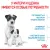 Royal Canin Mini Starter корм для щенков мелких размеров до 2-х месяцев, беременных и кормящих сук Royal Canin Mini Starter корм для щенков мелких размеров до 2-х месяцев, беременных и кормящих сук