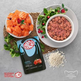 Паучи Enso Basic полнорационный корм для взрослых кошек кусочки в соусе с лососем