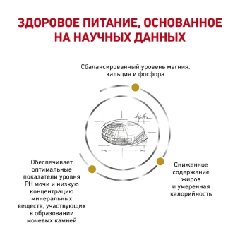 Royal Canin Urinary S/O Moderate Calorie Feline корм сухой диетический для взрослых кошек при мочекаменной болезни