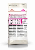 Royal Canin Protein Exigent корм сухой сбалансированный для привередливых взрослых кошек от 1 года