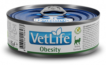 Консервы Farmina Vet Life Natural Diet Cat Obesiti для кошек паштет при ожирении