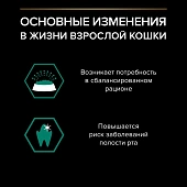 Влажный корм PRO PLAN® MAINTENANCE для взрослых кошек, кусочки с курицей в соусе Влажный корм PRO PLAN® MAINTENANCE для взрослых кошек, кусочки с курицей в соусе