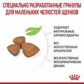 Корм Royal Canin X-Small Puppy для щенков миниатюрных размеров