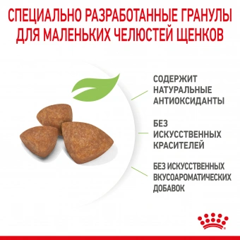 Корм Royal Canin X-Small Puppy для щенков миниатюрных размеров