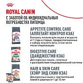 Паучи Royal Canin Urinary Care для взрослых кошек для поддержания здоровья МКБ системы мелкие кусочки в соусе