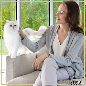 Влажный корм Гурмэ Натуральные рецепты для кошек, курица на пару с морковью Влажный корм Гурмэ Натуральные рецепты для кошек, курица на пару с морковью