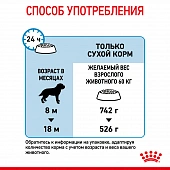 Royal Canin Giant Junior корм сухой для щенков очень крупных размеров до 8 месяцев