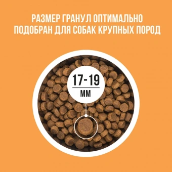 Корм Bowl Wow для собак крупных пород с индейкой, курицей, рисом и тыквой