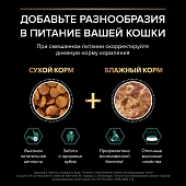 Влажный корм PRO PLAN® Sterilised MAINTENANCE для взрослых стерилизованных кошек с говядиной, курицей, уткой, рыбой Влажный корм PRO PLAN® Sterilised MAINTENANCE для взрослых стерилизованных кошек с говядиной, курицей, уткой, рыбой