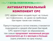 Древесный наполнитель Japan Premium Pet с горным кипарисом