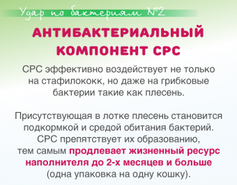 Древесный наполнитель Japan Premium Pet с горным кипарисом