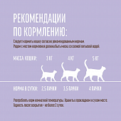 Паучи Деревенские Лакомства "Домашние обеды" для кошек с говядиной и ягнёнком в нежном соусе Паучи Деревенские Лакомства "Домашние обеды" для кошек с говядиной и ягнёнком в нежном соусе