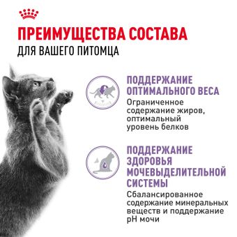 Корм для стерилизованных взрослых кошек Royal Canin Sterilised Корм консервированный , соус