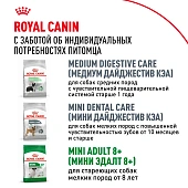 Сухой Корм для собак Royal Canin Mini Adult Корм сухой для взрослых собак мелких размеров от 10 месяцев Сухой Корм для собак Royal Canin Mini Adult Корм сухой для взрослых собак мелких размеров от 10 месяцев