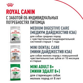 Корм для собак Royal Canin Mini Adult Корм сухой для взрослых собак мелких размеров от 10 месяцев