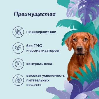 Консервы Florida для собак с курицей с яблоком