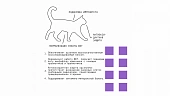 Сухой Корм AJO Cat Sense для кошек с чувствительным пищеварением Сухой Корм AJO Cat Sense для кошек с чувствительным пищеварением