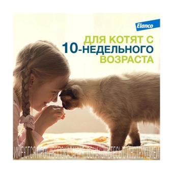 Водостойкий ошейник Форесто для кошек от клещей, блох и вшей