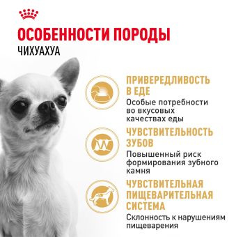 Корм для собак Royal Canin Chihuahua Adult сухой для взрослых собак породы Чихуахуа от 8 месяцев