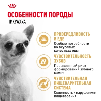 Корм для собак Royal Canin Chihuahua Adult сухой для взрослых собак породы Чихуахуа от 8 месяцев