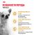 Корм для собак Royal Canin Chihuahua Adult сухой для взрослых собак породы Чихуахуа от 8 месяцев Корм для собак Royal Canin Chihuahua Adult сухой для взрослых собак породы Чихуахуа от 8 месяцев