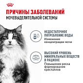 Паучи Royal Canin Urinary Care для взрослых кошек для поддержания здоровья МКБ системы мелкие кусочки в соусе