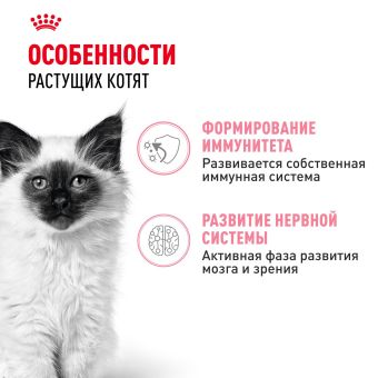 Консервированный корм для котят Royal Canin Kitten в возрасте до 12 месяцев в соусе