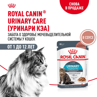 Паучи Royal Canin Urinary Care для взрослых кошек для поддержания здоровья МКБ системы мелкие кусочки в соусе