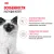 Консервированный корм для котят Royal Canin Kitten в возрасте до 12 месяцев в соусе Консервированный корм для котят Royal Canin Kitten в возрасте до 12 месяцев в соусе