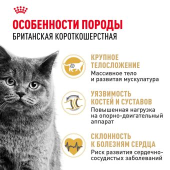 Корм сухой сбалансированный Royal Canin British Shorthair Adult для взрослых британских короткошерстных кошек