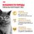 Корм сухой сбалансированный Royal Canin British Shorthair Adult для взрослых британских короткошерстных кошек