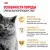 Корм сухой сбалансированный Royal Canin British Shorthair Adult для взрослых британских короткошерстных кошек Корм сухой сбалансированный Royal Canin British Shorthair Adult для взрослых британских короткошерстных кошек