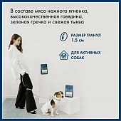 Сухой Корм Blue Native Holistic Lamb для взрослых собак средних и крупных пород с ягнёнком