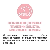 Сухой Корм Karmy Delicious Medium & Maxi для привередливых собак средних и крупных пород с телятиной Сухой Корм Karmy Delicious Medium & Maxi для привередливых собак средних и крупных пород с телятиной
