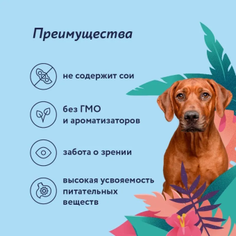 Консервы Florida для собак с ягнёнком и черникой