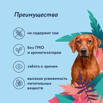 Консервы Florida для собак с ягнёнком и черникой