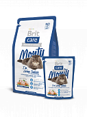 Корм Brit Care Cat Monty Indoor для кошек живущих в квартире с курицей