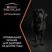 Сухой корм PRO PLAN® для взрослых собак крупных пород с мощным телосложением, с высоким содержанием курицы, Пакет