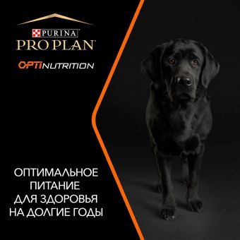 Сухой корм PRO PLAN® для взрослых собак крупных пород с мощным телосложением, с высоким содержанием курицы, Пакет