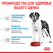 Royal Canin Giant Junior корм сухой для щенков очень крупных размеров до 8 месяцев