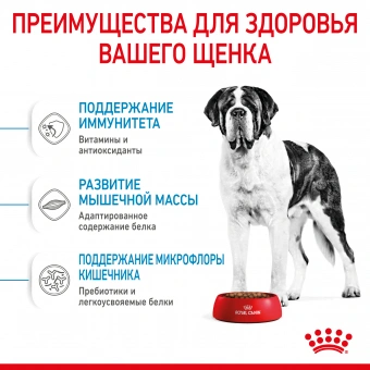 Royal Canin Giant Junior корм сухой для щенков очень крупных размеров до 8 месяцев